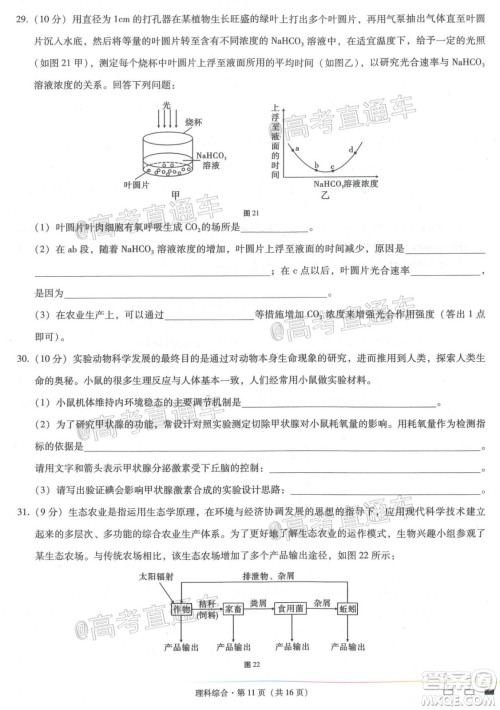 西南名校联盟高考适应性月考卷12月考理科综合试题及答案