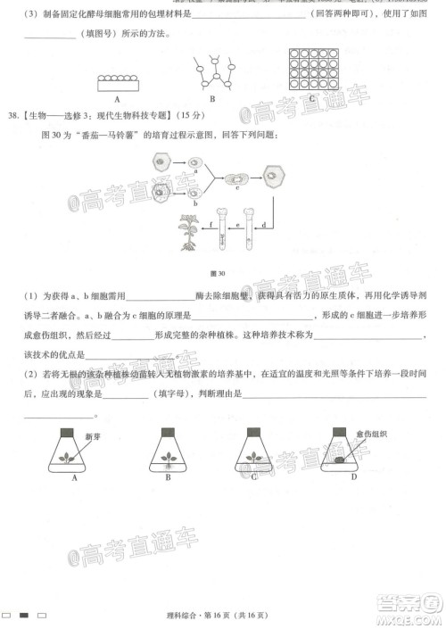 西南名校联盟高考适应性月考卷12月考理科综合试题及答案