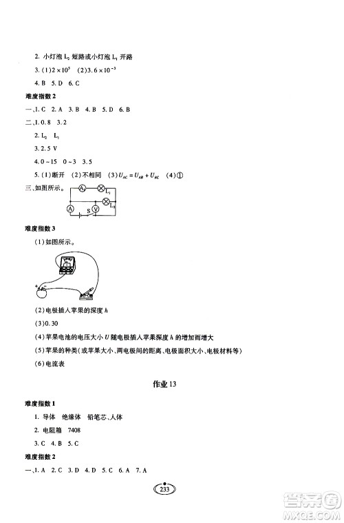 河北少年儿童出版社2020世超金典作业物理九年级全一册人教版答案