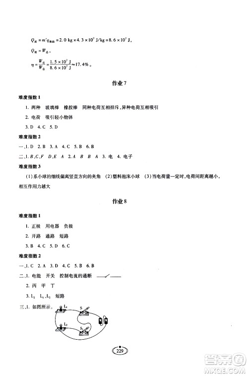 河北少年儿童出版社2020世超金典作业物理九年级全一册人教版答案