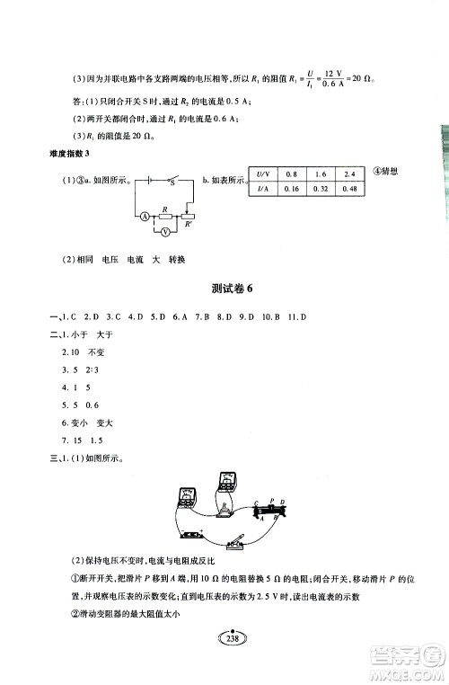 河北少年儿童出版社2020世超金典作业物理九年级全一册人教版答案