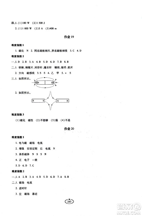 河北少年儿童出版社2020世超金典作业物理九年级全一册人教版答案