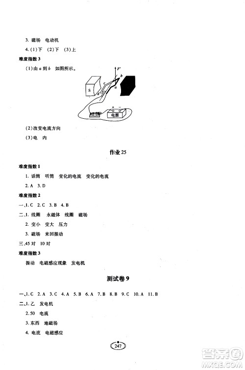 河北少年儿童出版社2020世超金典作业物理九年级全一册人教版答案