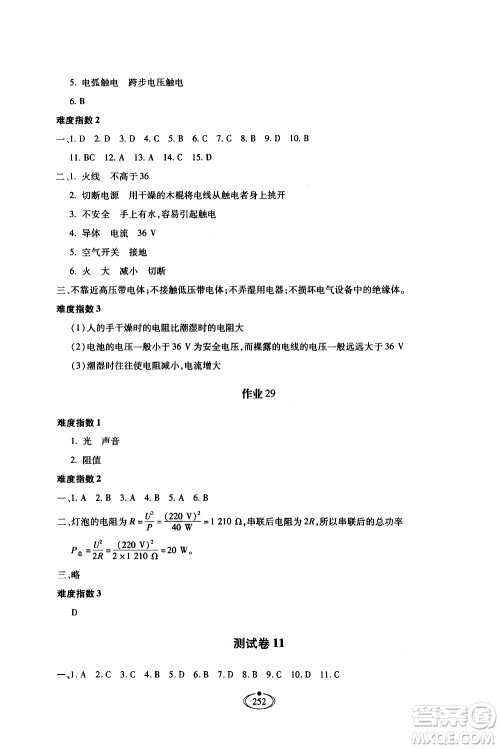 河北少年儿童出版社2020世超金典作业物理九年级全一册人教版答案