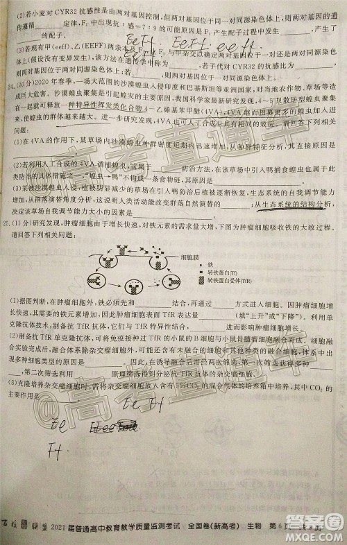 2021届百校联盟12月联考全国卷新高考生物试题及答案