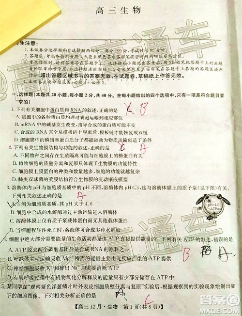 2021届九师联盟高三教学质量监测12月联考生物试题及答案