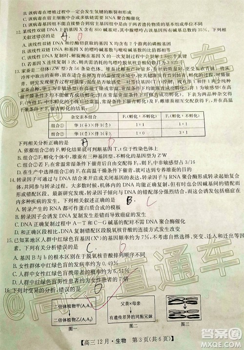 2021届九师联盟高三教学质量监测12月联考生物试题及答案