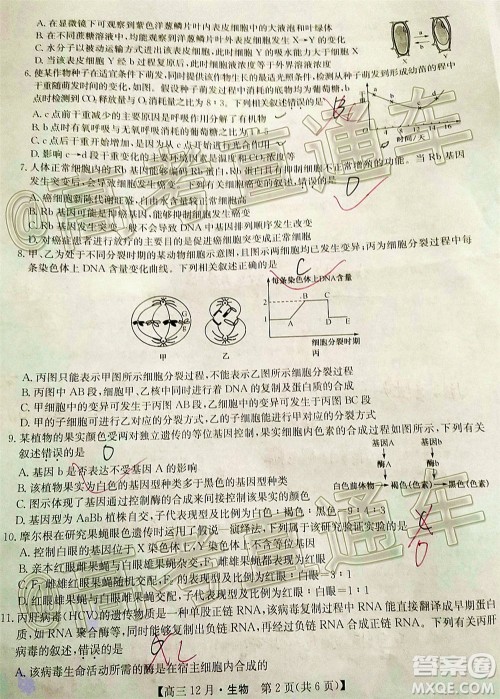 2021届九师联盟高三教学质量监测12月联考生物试题及答案