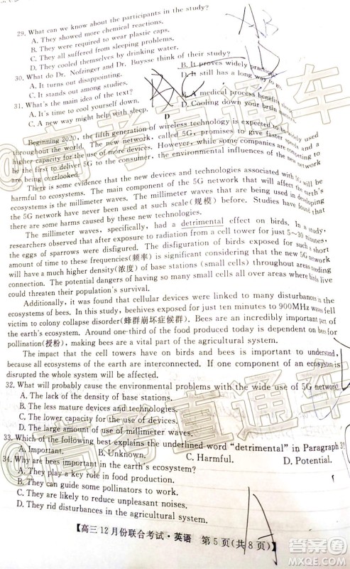 2021届九师联盟高三教学质量监测12月联考英语试题及答案 2021届九师联盟高三教学质量监测12月联考英语试题及答案