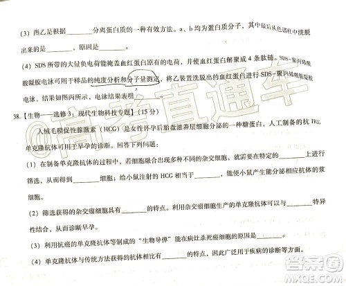 贵港市2021届高中毕业班12月联考监测试题理科综合试题及答案