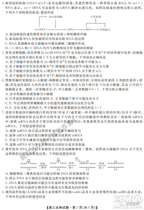 三湘名校教育联盟2021届高三第二次大联考生物试题及答案