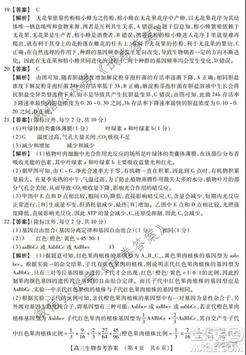 非凡吉创2020-2021学年高三年级12月大联考生物答案 非凡吉创2020-2021学年高三年级12月大联考生物答案