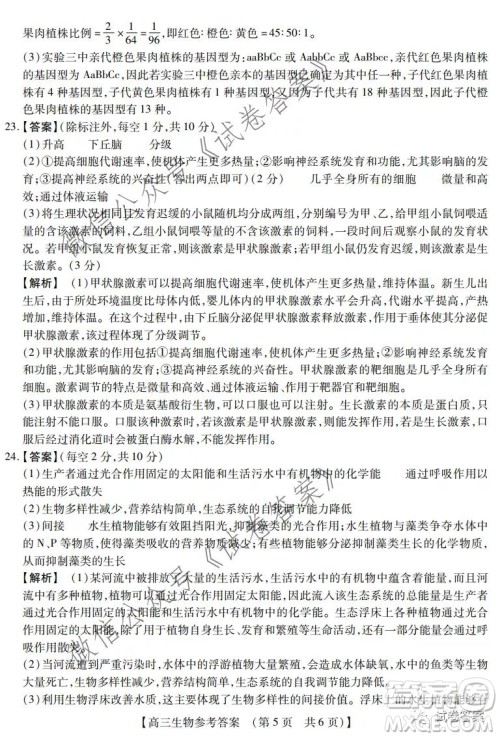 非凡吉创2020-2021学年高三年级12月大联考生物答案 非凡吉创2020-2021学年高三年级12月大联考生物答案