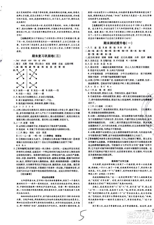 2020魔力一卷通小学期末冲刺100分语文五年级上册RJ人教版答案