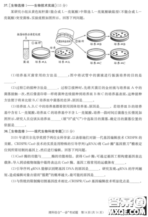 成都市2018级高中毕业班第一次诊断性检测理科综合试题及答案 成都市2018级高中毕业班第一次诊断性检测理科综合试题及答案