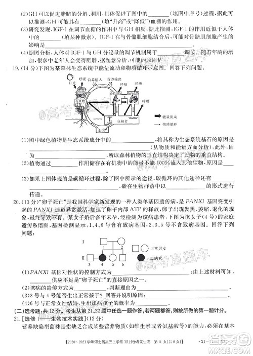 2021届河北金太阳高三12月联考生物试题及答案