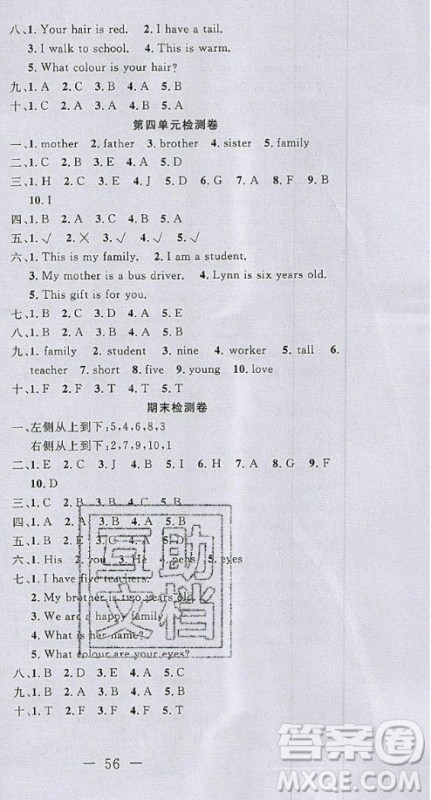 2020好题好卷天天练三年级上册英语冀教版答案