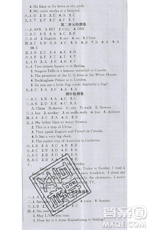 2020好题好卷天天练五年级上册英语冀教版答案