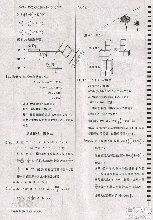 开明出版社2020年万向思维最新AB卷六年级数学上册北师大版答案