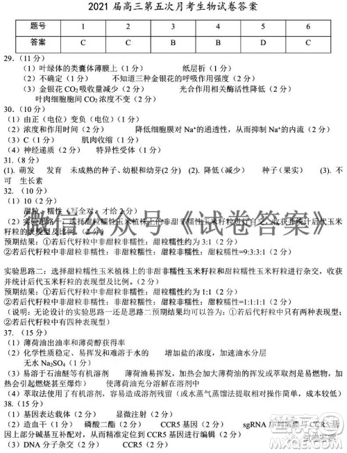 银川一中2021届高三年级第五次月考理科综合试题及答案