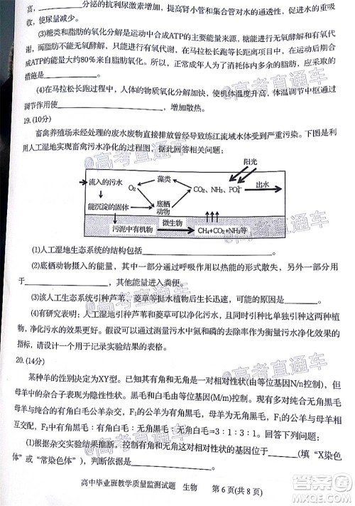 汕头市2020-2021学年度普通高中毕业班教学质量监测生物试题及答案