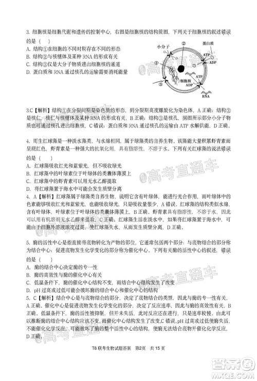 T8联考新八校2021届高三第一次联考生物试题及答案 T8联考新八校2021届高三第一次联考生物试题及答案