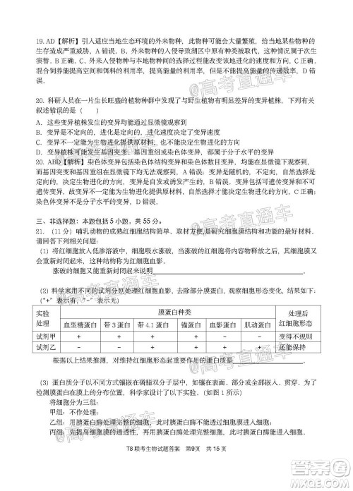 T8联考新八校2021届高三第一次联考生物试题及答案 T8联考新八校2021届高三第一次联考生物试题及答案