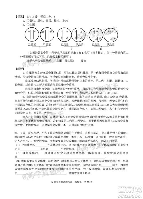 T8联考新八校2021届高三第一次联考生物试题及答案