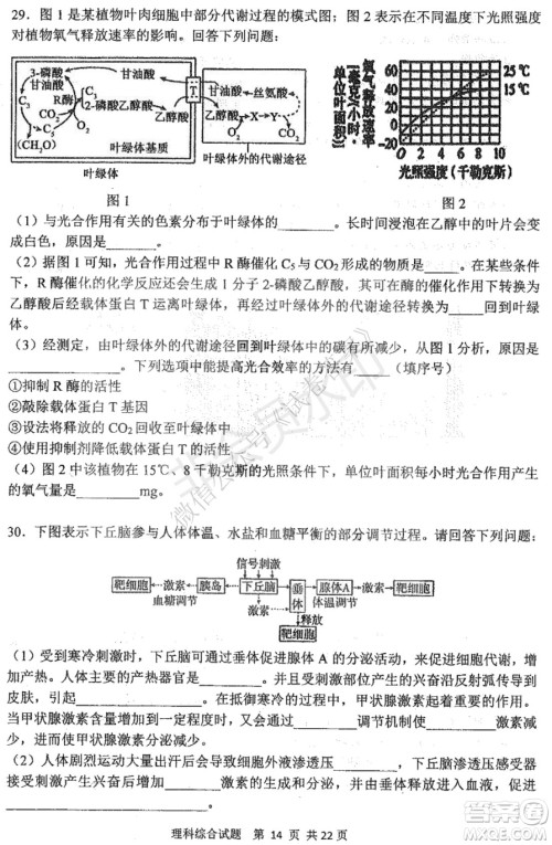 哈三中2020-2021学年度上学期高三年级期末考试理综试题及答案