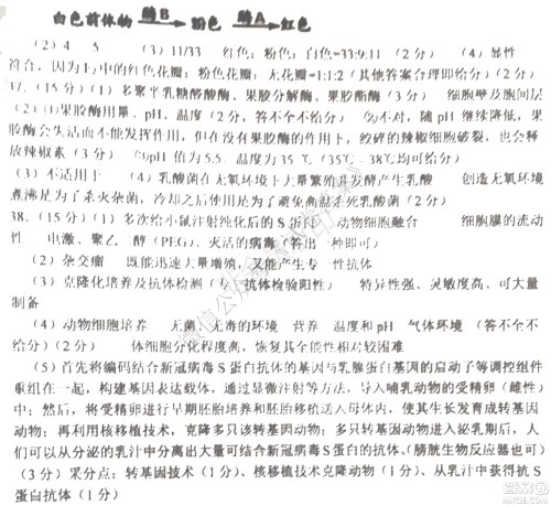 哈三中2020-2021学年度上学期高三年级期末考试理综试题及答案 哈三中2020-2021学年度上学期高三年级期末考试理综试题及答案