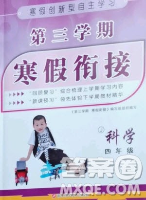 浙江科学技术出版社2021第三学期寒假衔接四年级科学教科版答案