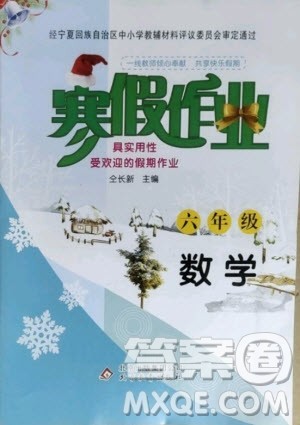 北京教育出版社2021寒假作业六年级数学人教版答案