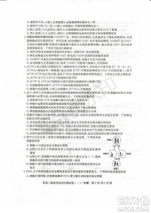 2021届八省联盟湖北新高考适应性测试卷一生物试题及答案