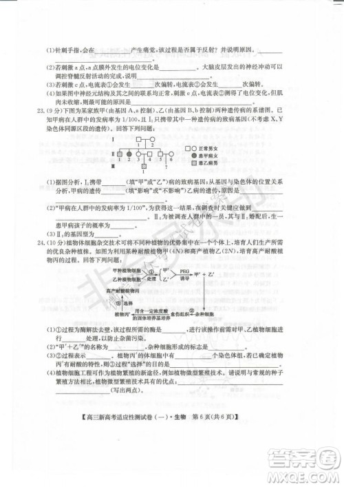 2021届八省联盟湖北新高考适应性测试卷一生物试题及答案