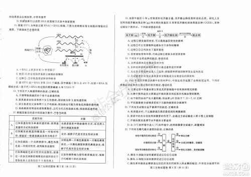 郑州2021年高中毕业年级第一次质量预测生物试题及答案