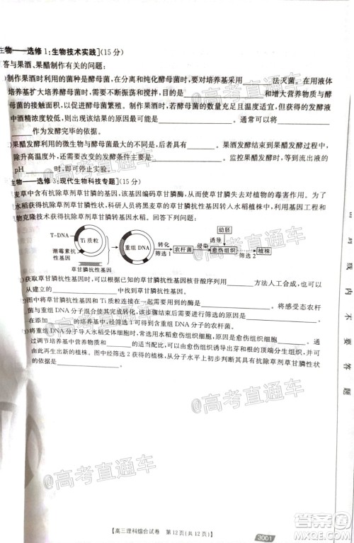 2021金太阳百万联考全国一卷1月联考理科综合试题及答案 2021金太阳百万联考全国一卷1月联考理科综合试题及答案