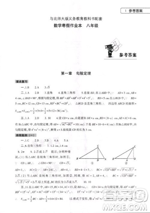 大象出版社2021数学寒假作业本八年级北师大版答案