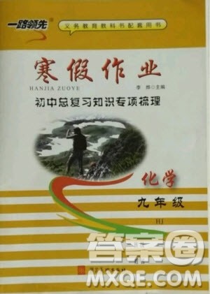 河北美术出版社2021一路领先寒假作业化学九年级HJ沪教版答案