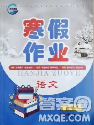 新疆青少年出版社2021寒假作业九年级语文人教版答案