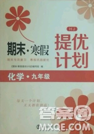 南京大学出版社2021期末寒假提优计划化学九年级沪教版答案