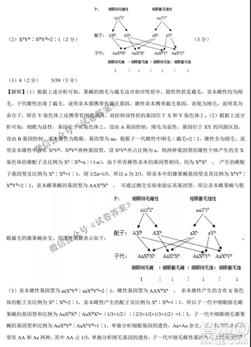 2021年1月八省联考考前猜题卷生物试题及答案