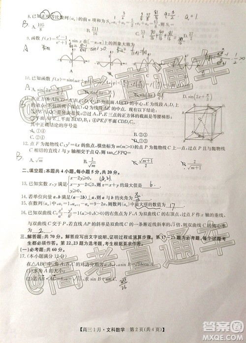 2021届九师联盟高三1月联考文科数学试题及答案