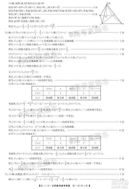 2021届九师联盟高三1月联考文科数学试题及答案