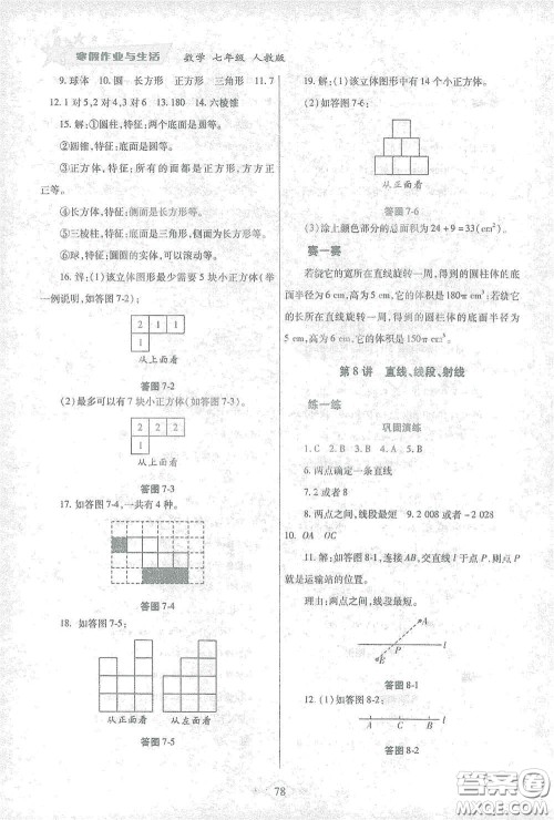 陕西师范大学出版总社有限公司2021寒假作业与生活七年级数学人教版答案