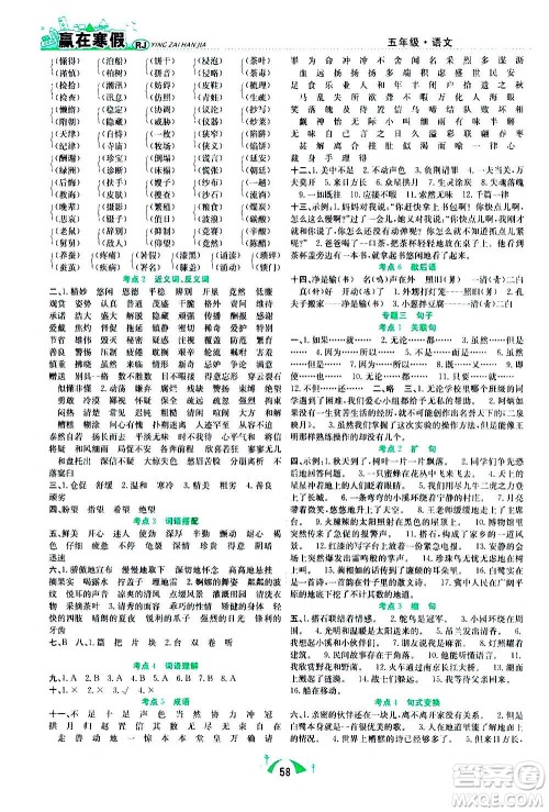 合肥工业大学出版社2021赢在寒假期末闯关五年级语文RJ人教版答案