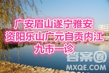 2021届广安眉山遂宁雅安资阳乐山广元自贡内江九市一诊数学文史类试题及答案