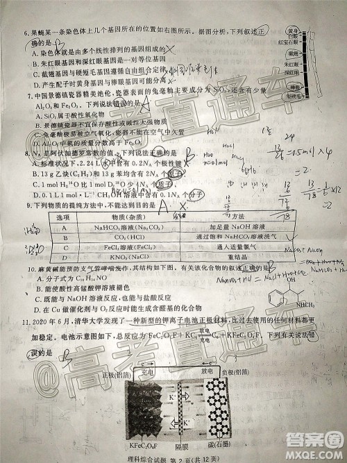 2021届广安眉山遂宁雅安资阳乐山广元自贡内江九市一诊理科综合试题及答案 2021届广安眉山遂宁雅安资阳乐山广元自贡内江九市一诊理科综合试题及答案