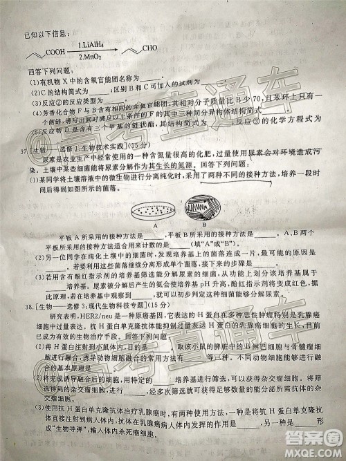 2021届广安眉山遂宁雅安资阳乐山广元自贡内江九市一诊理科综合试题及答案 2021届广安眉山遂宁雅安资阳乐山广元自贡内江九市一诊理科综合试题及答案