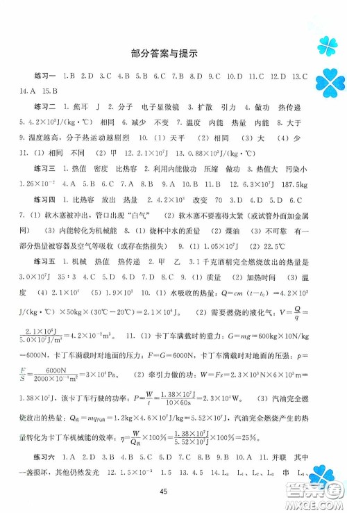 广西教育出版社2021新课程寒假作业九年级物理答案