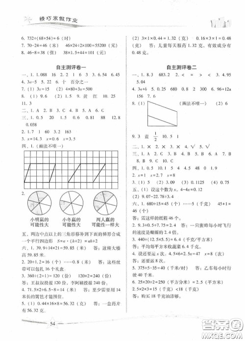云南美术出版社2021精巧寒假作业专题训练与期末总复习五年级数学人教版答案